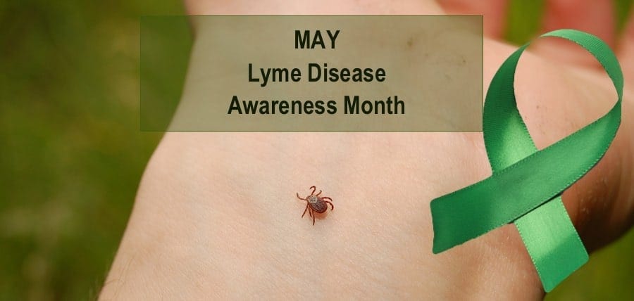How Can I Help? Lyme Disease Awareness Month 2