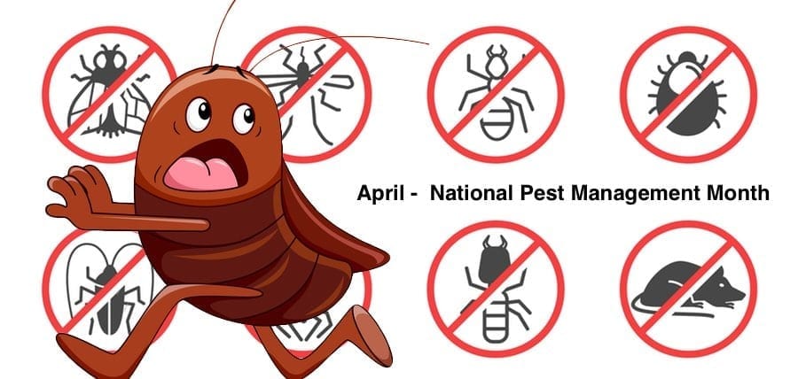 Prevent Pest Infestations, April National Pest Management Month