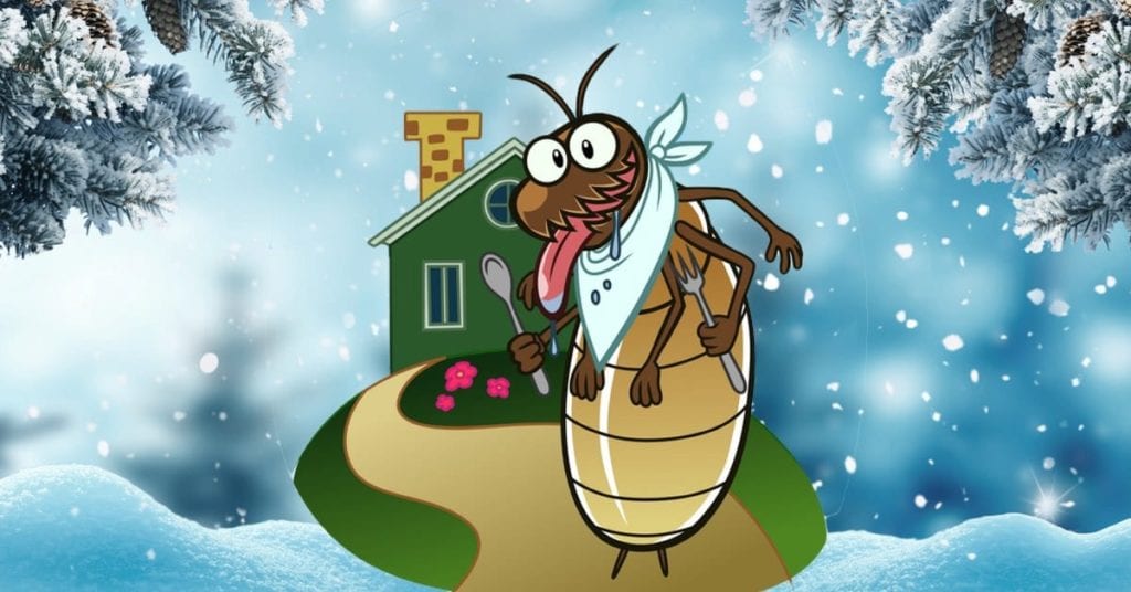 Winter Bugs That May Be Entering Your Home