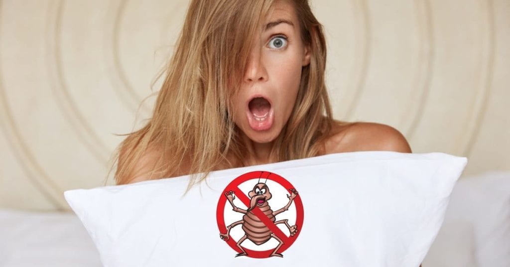 Precautions To Take To Avoid Bed Bugs While Traveling