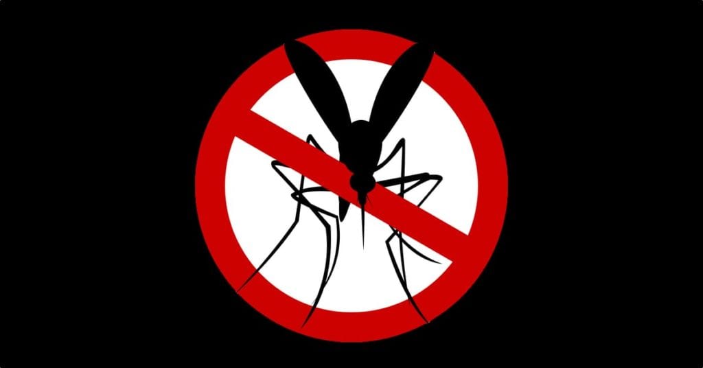 Mosquito &Amp; Tick Control | Morris County, Nj