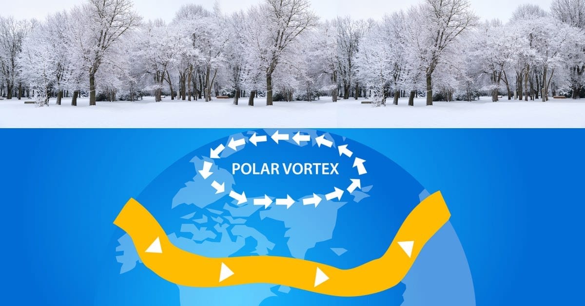 Good News! Polar Vortex May Have Killed Off Many NJ Pests﻿