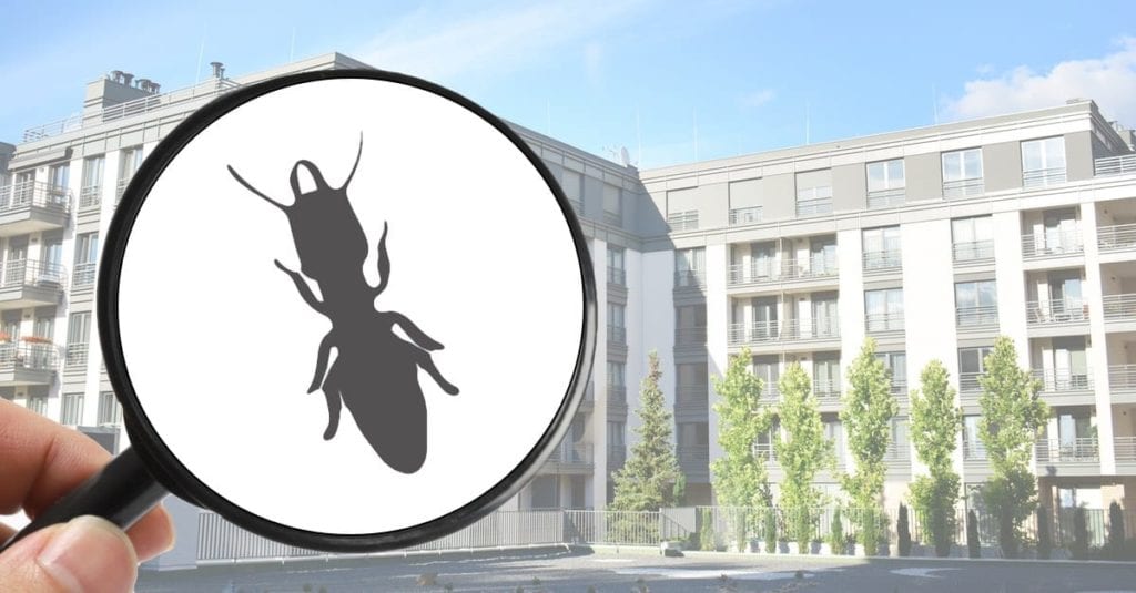 Pest Control And Pest Management For Property Managers