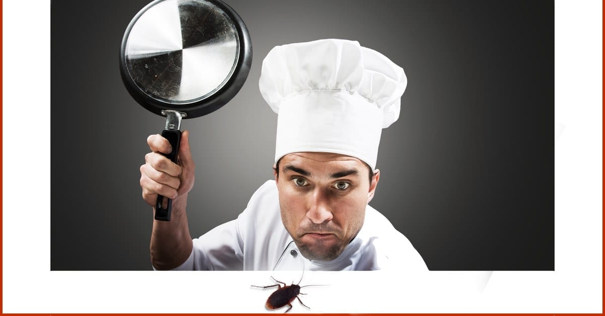 How Do Restaurants Control Pests?