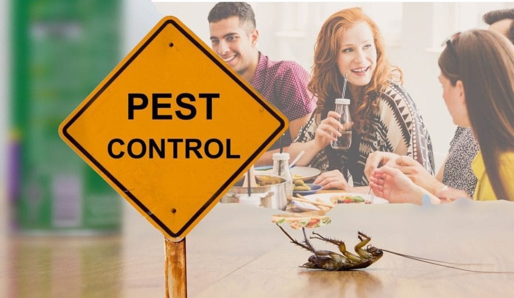 How To Prevent A Pest Infestation In Your Restaurant