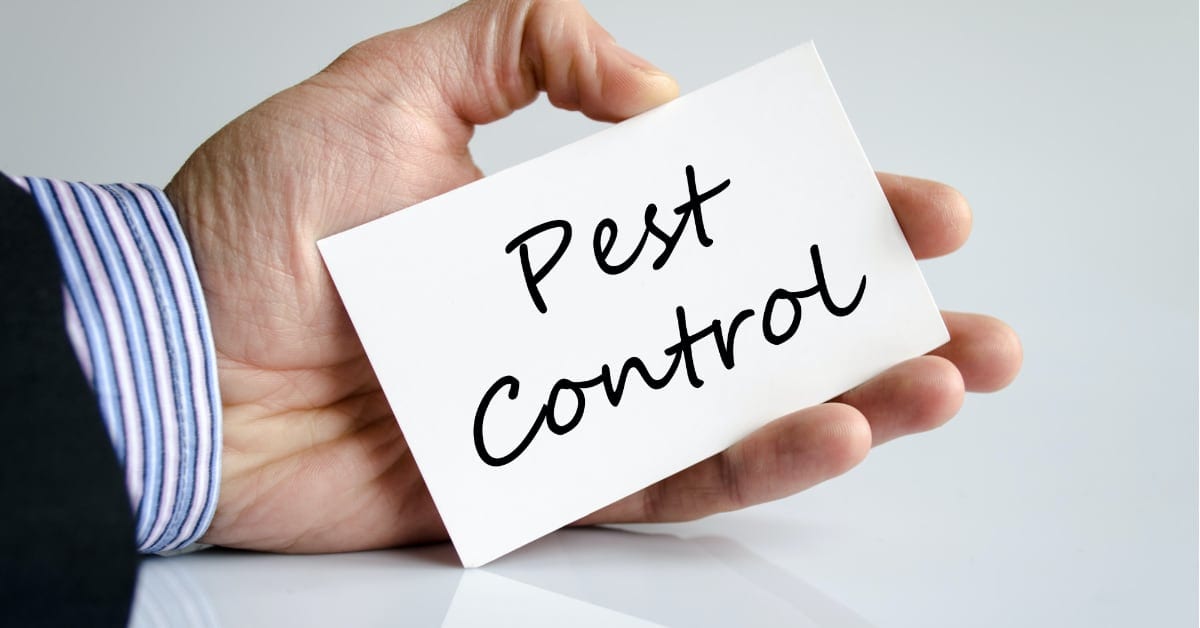 Top-Rated Pest Control Specialists in Essex County
