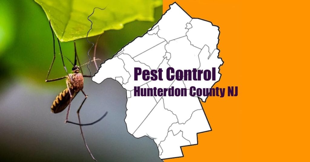 Hunterdon County Pest Control Nj