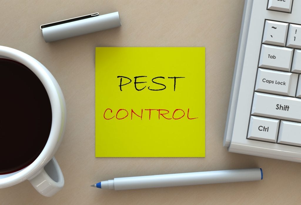 Warren County Nj Pest &Amp; Wildlife Removal 1 Warren County Nj Pest Control And Wildlife Removal