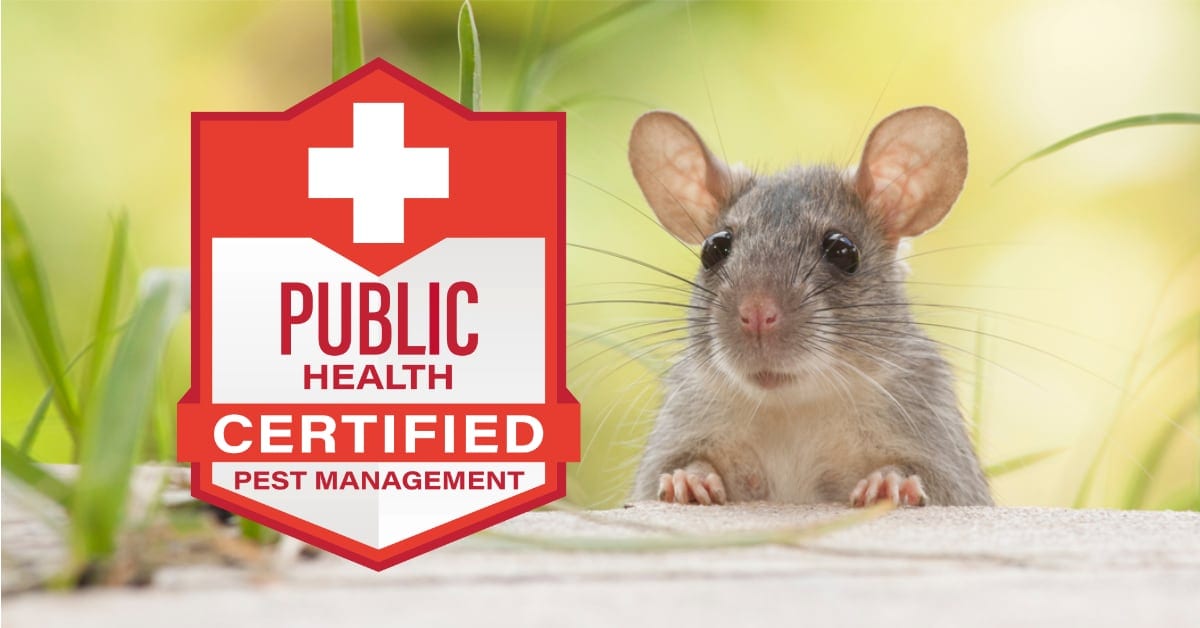 1st To Earn Public Health Rodent Certification Nationwide