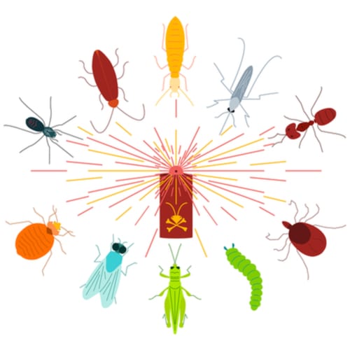 Commercial Business Exterminators, 5 Factors To Consider When Hiring 1 Commercial Business Exterminators, 5 Factors To Consider When Hiring