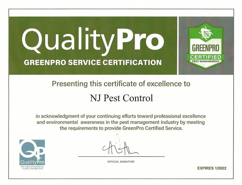 Residential Pest Control 1