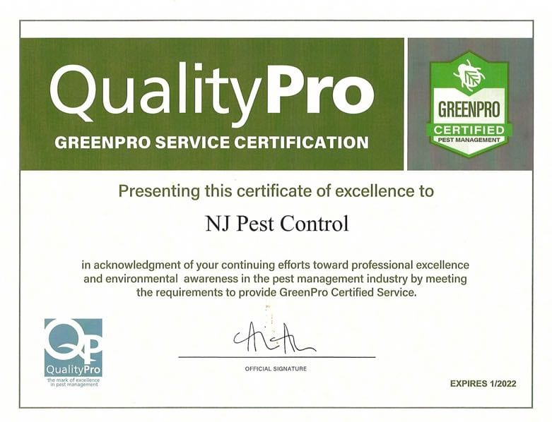 Residential Pest Control 2 Residential Pest Control 1