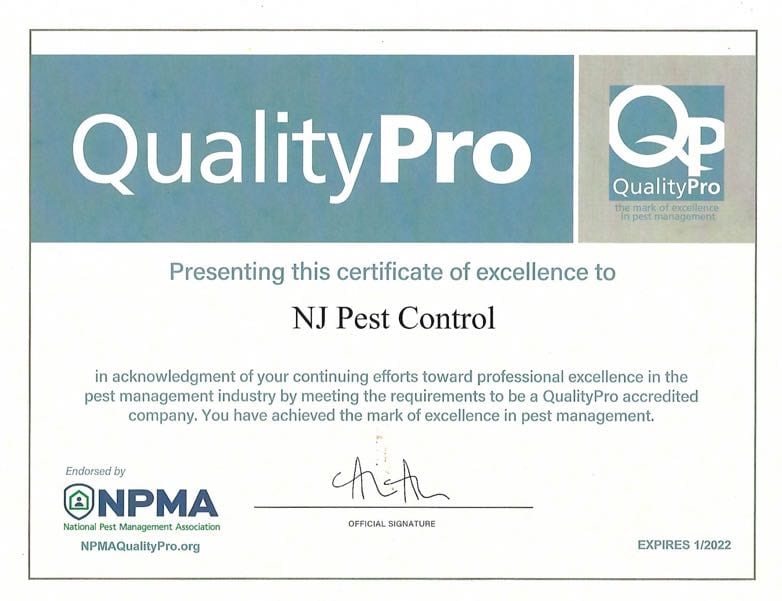 Residential Pest Control 4 Residential Pest Control 3