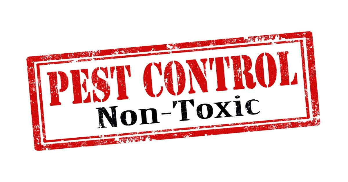 Non-toxic alternatives for pest Control