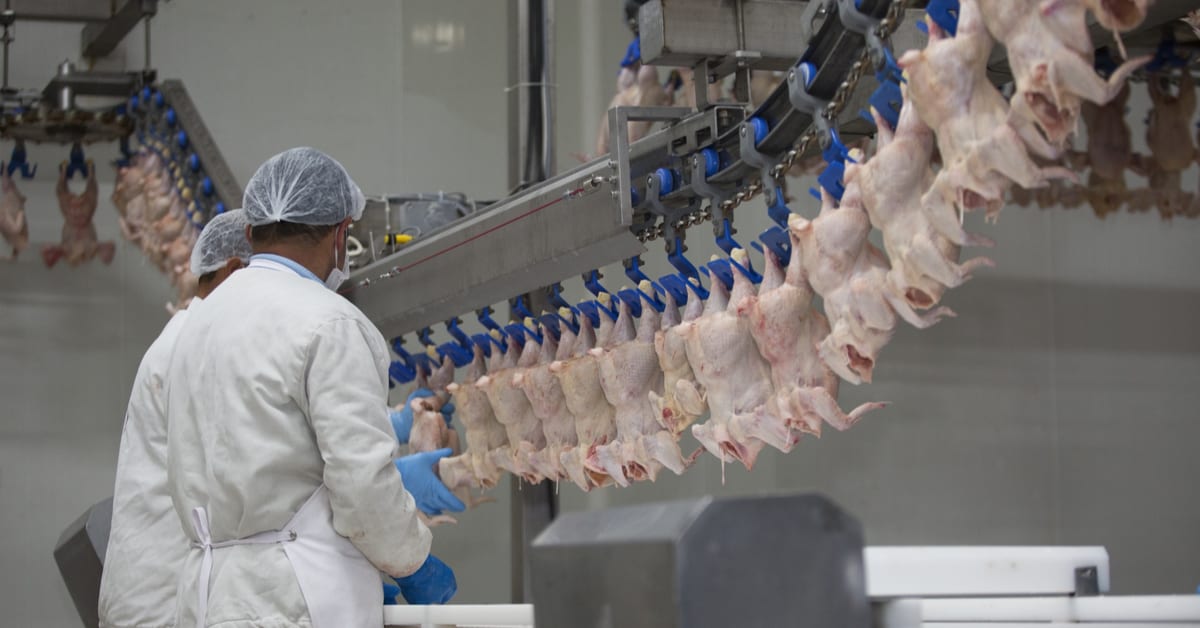 Pest Control for Manufacturing, Food Processing Plants