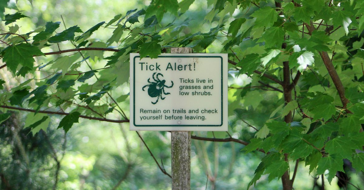 Where do ticks live?