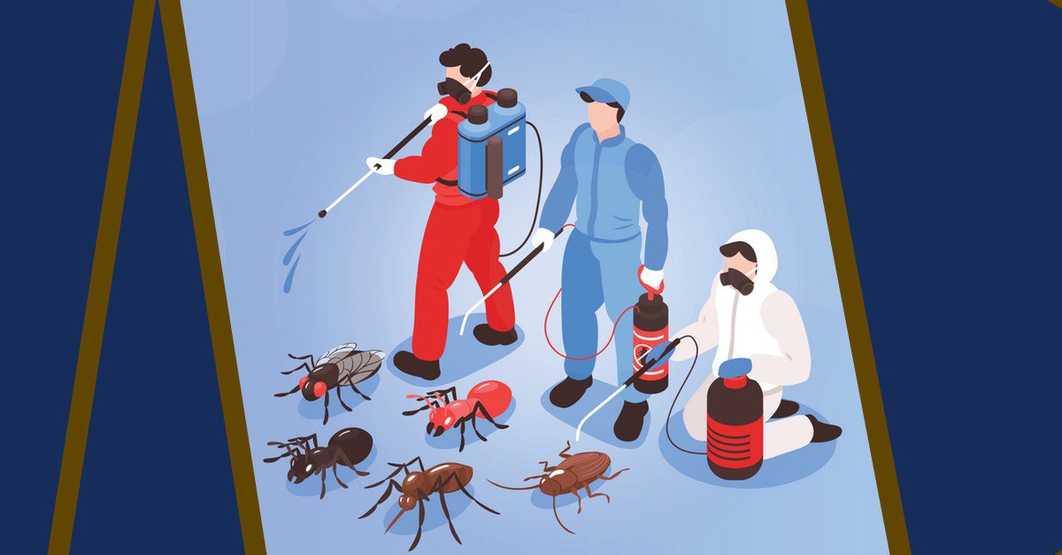 What pests are included in pest control?