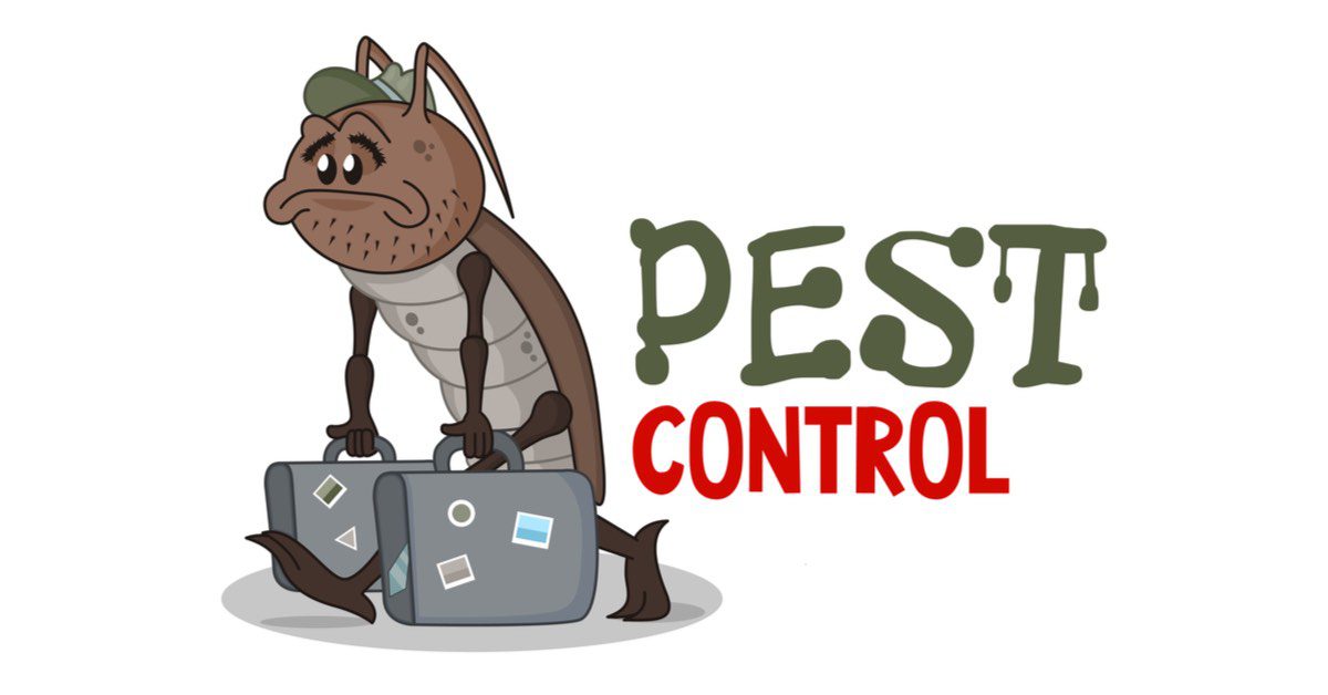 Pest Removal Services in North NJ