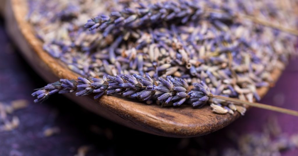 5 Plants That Repel Bugs, Lavendar