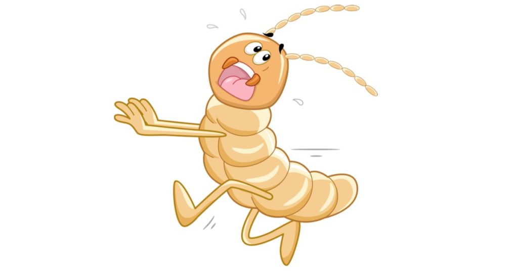 Rockaway Nj Pest Control, Exterminators, Termites