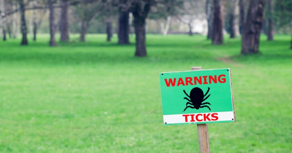 Complete Guide To Ticks And Lyme Disease