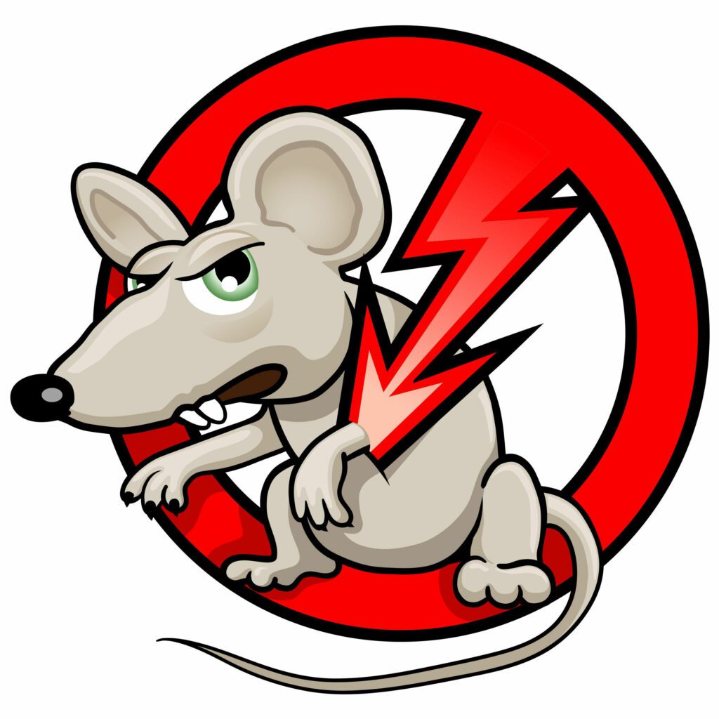 Why &Amp; When To Call An Exterminator For Mice