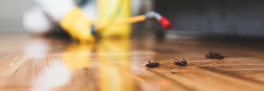 Chester Nj Exterminator And Pest Control