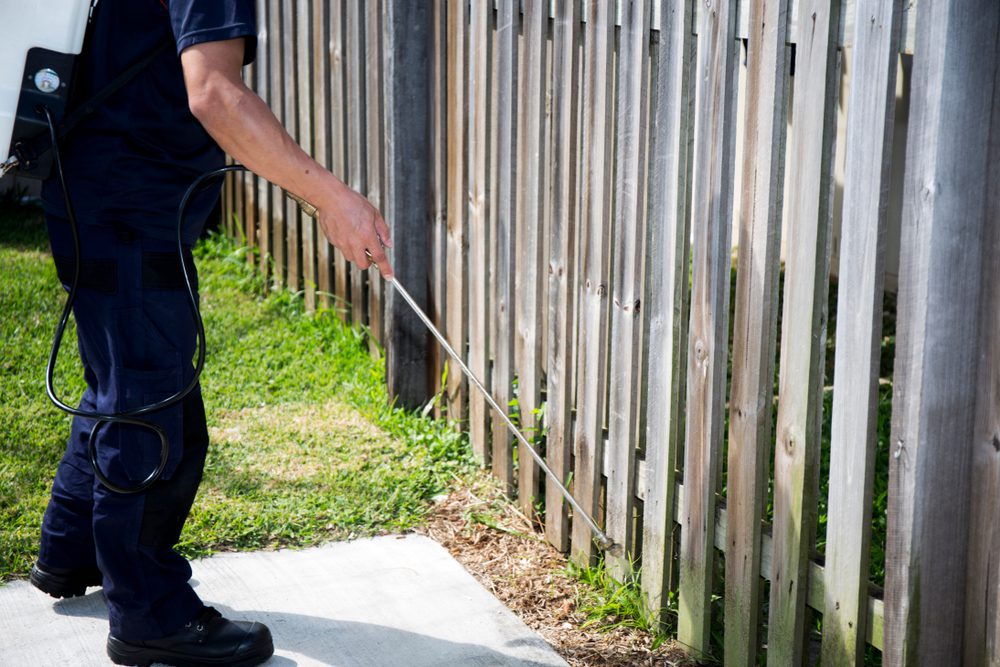Chester Nj Exterminator Services 2 Chester Nj Exterminator And Pest Control