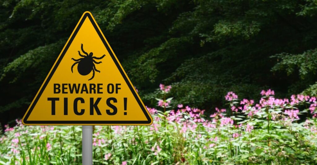 Denville Nj Pest Control And Exterminator Services 4 Denville Nj Pest Control &Amp; Exterminator Services, Ticks