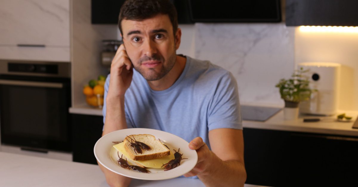 man holding plate with cockroaches, nuisance household pests, on bread.